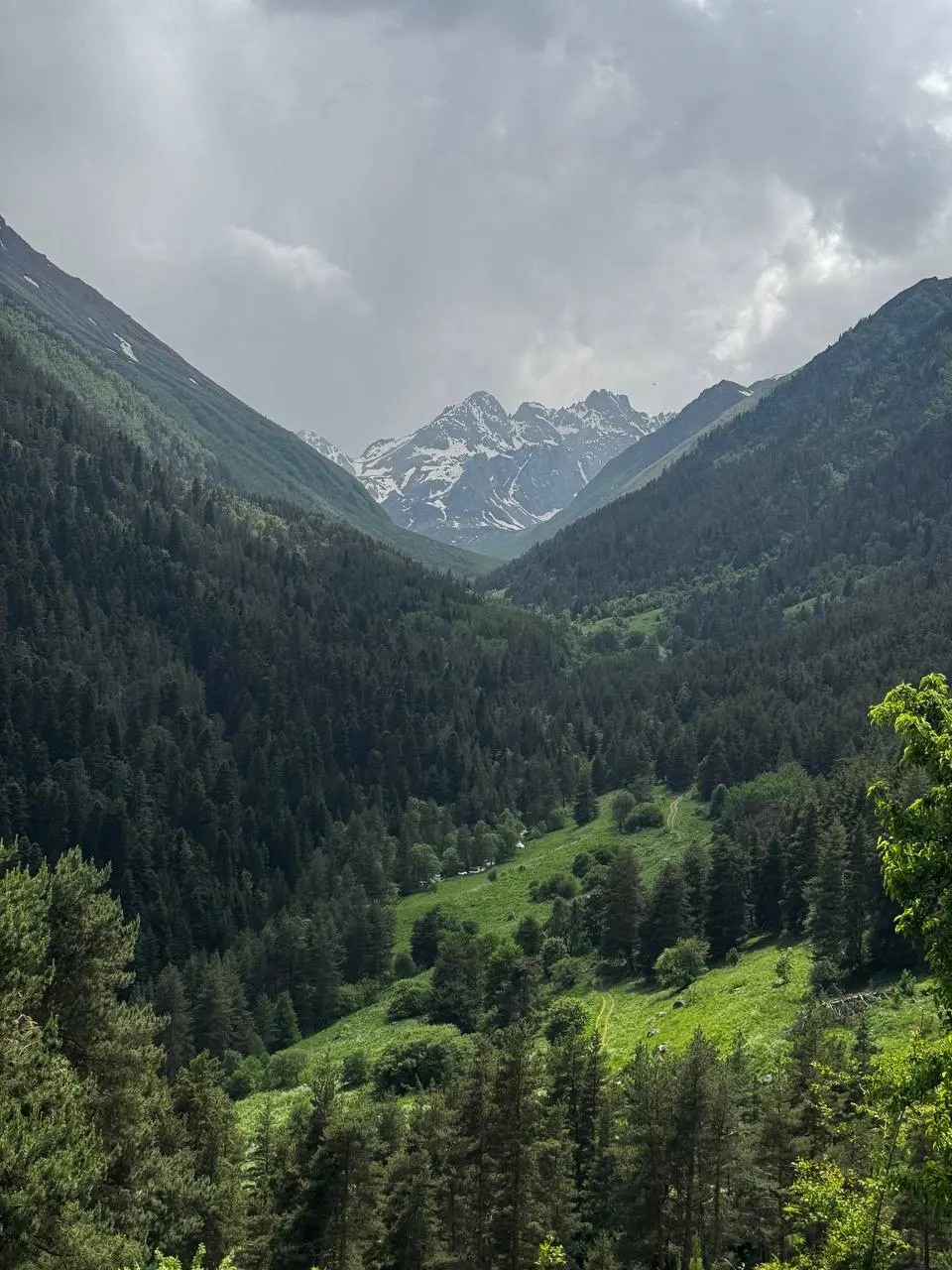 Мухинское ущелье