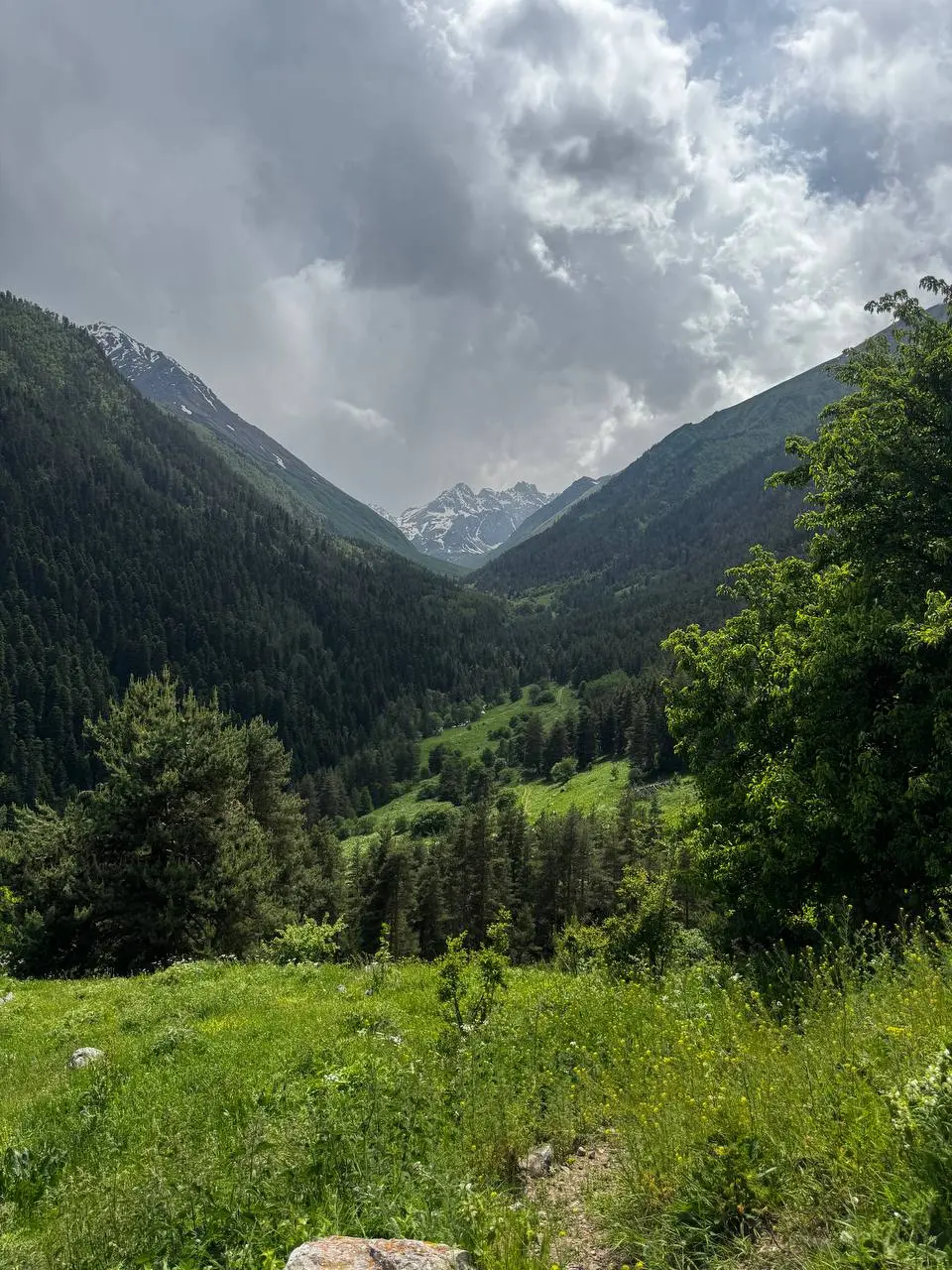 Мухинское ущелье