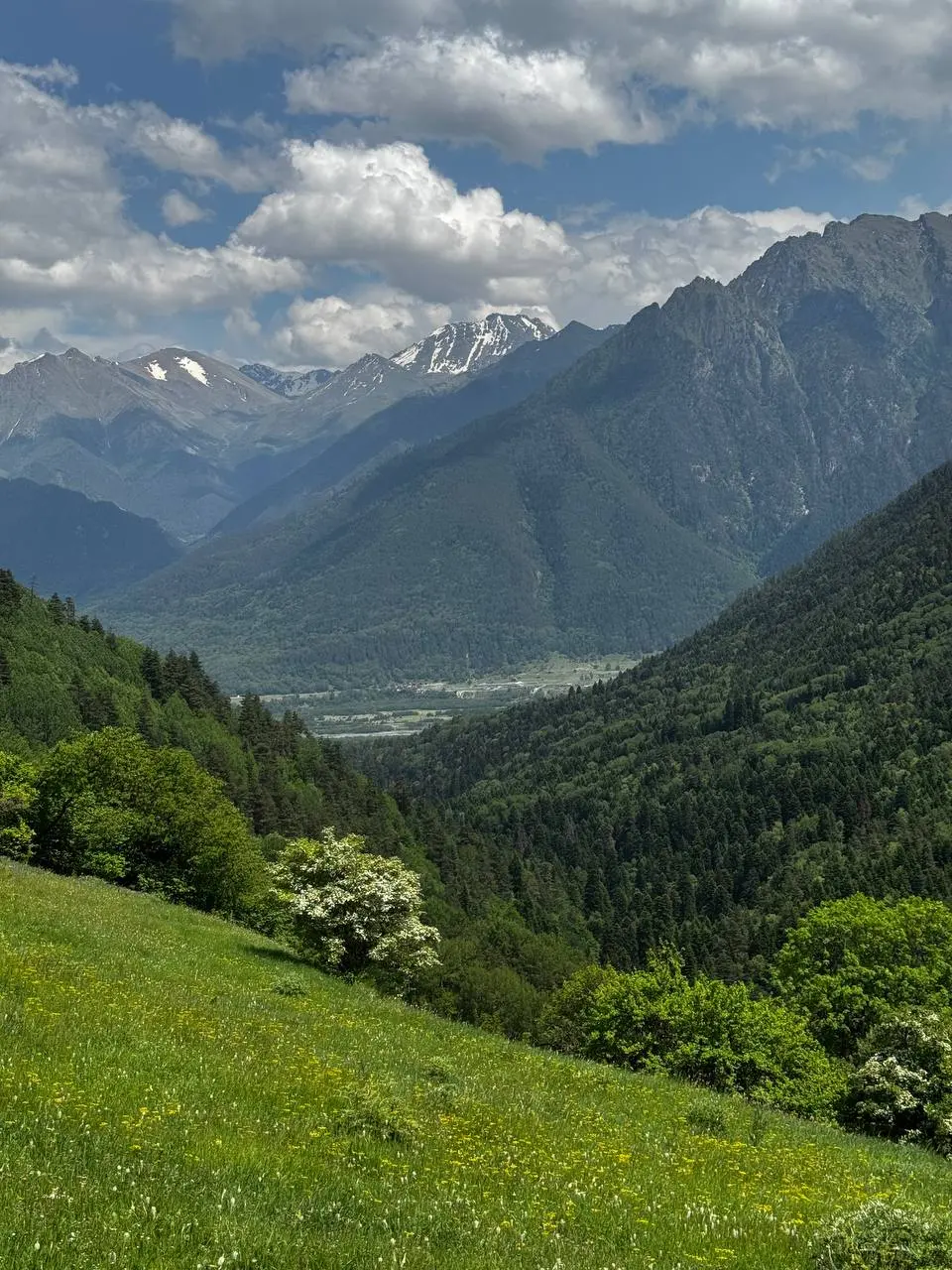 Мухинское ущелье