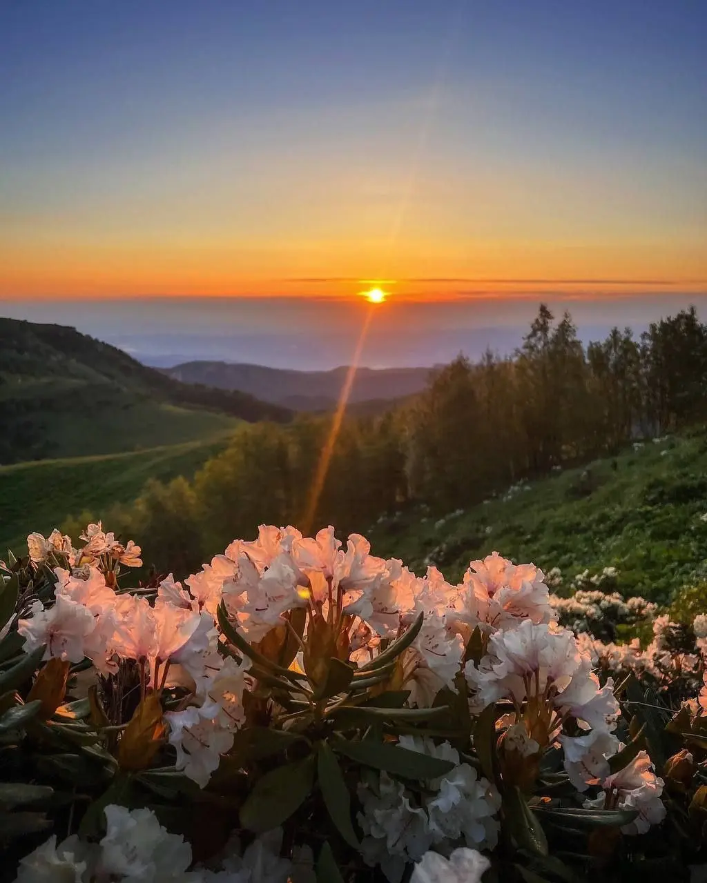 Хребет Передовой, гора Асбестная