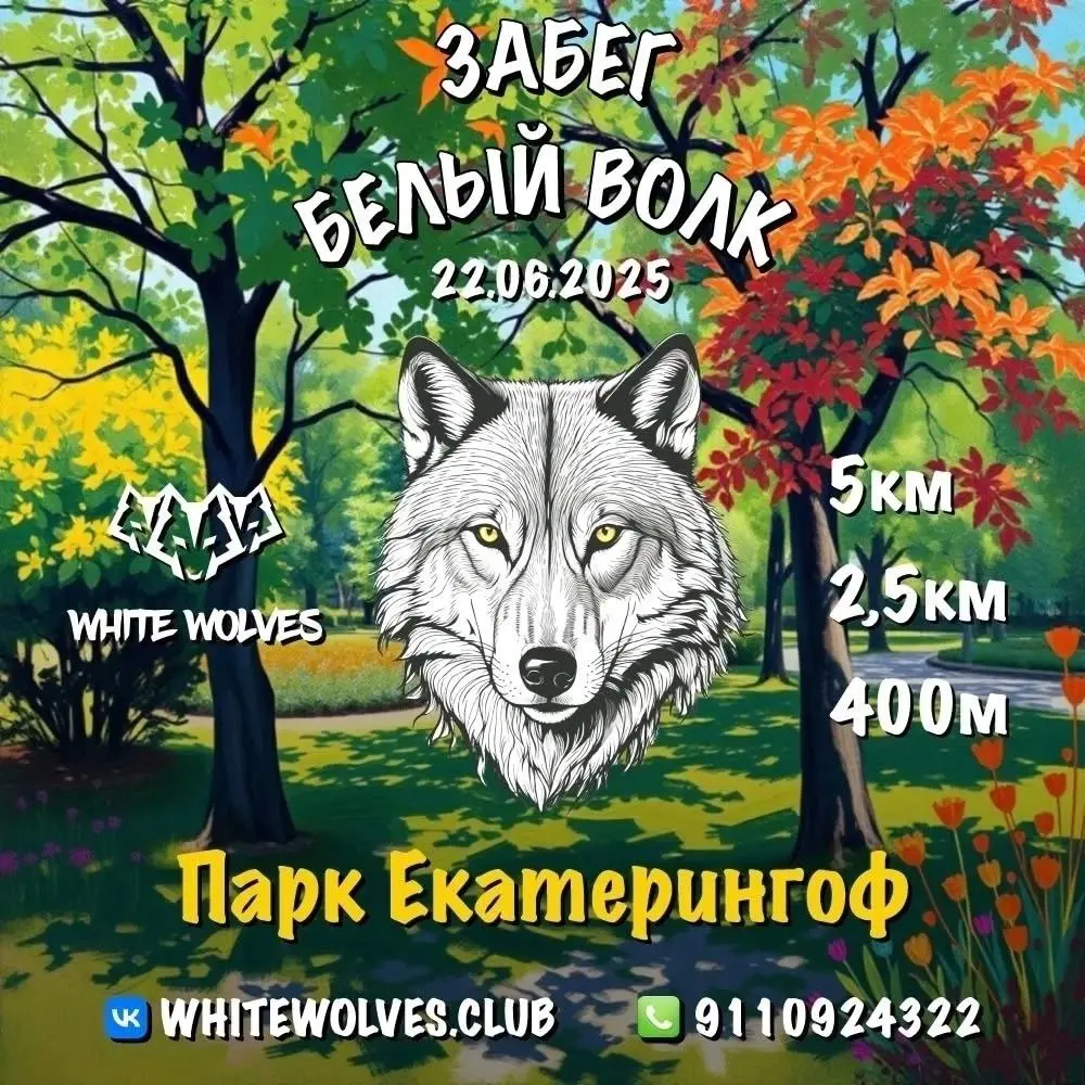 Забег "Белый волк"