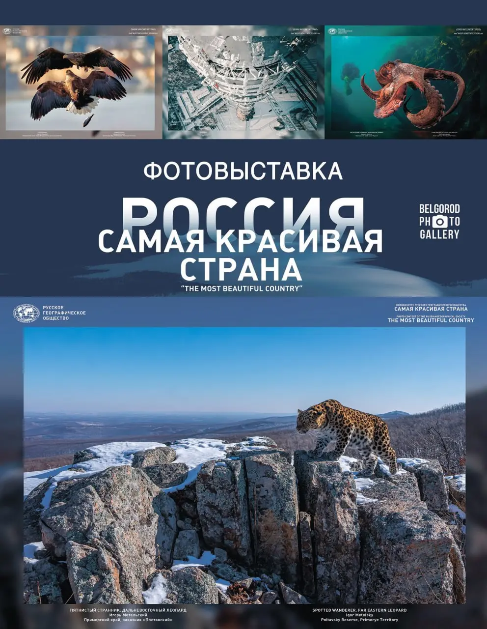 Выставка по итогам конкурса Русского географического общества «Самая красивая страна»