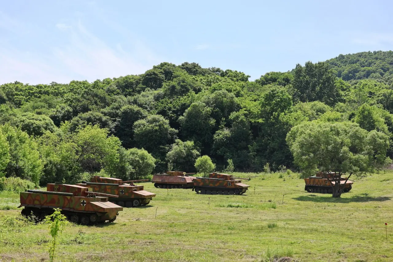 Битва, которую невозможно забыть: военно-историческая реконструкция в Раздольном