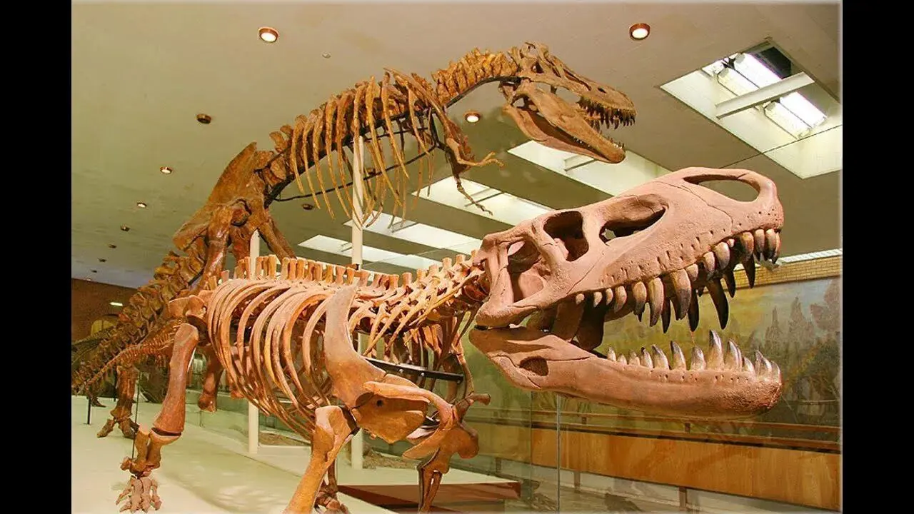 В этот четверг вход в Палеонтологический музей бесплатный для детей до 18 лет