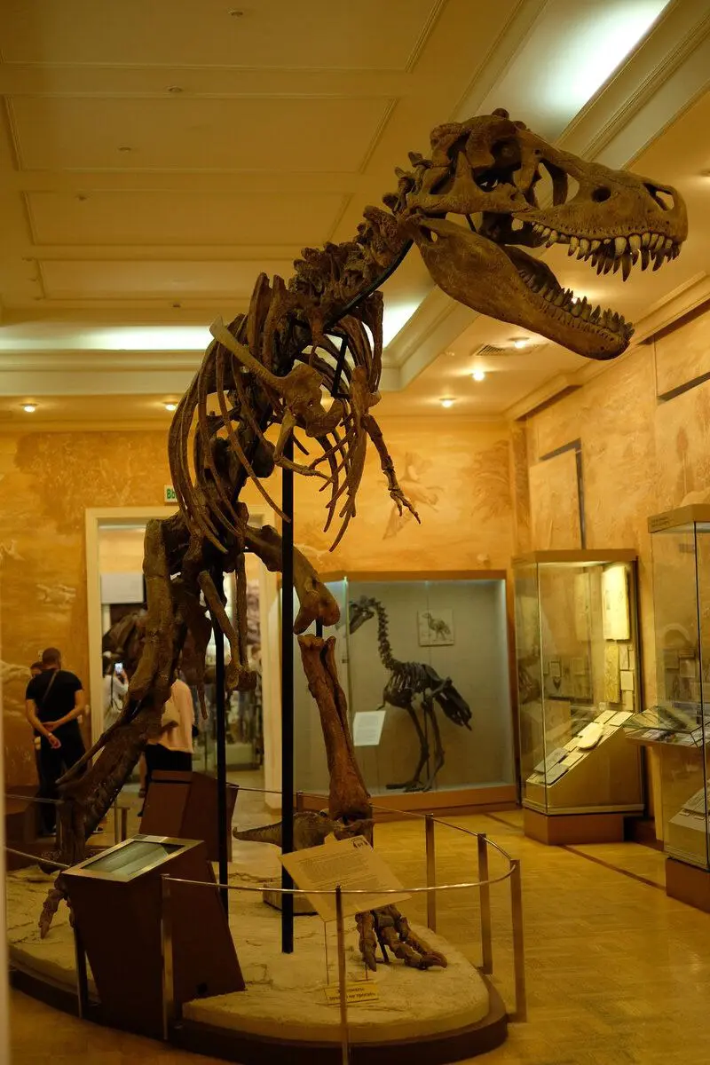 В этот четверг вход в Палеонтологический музей бесплатный для детей до 18 лет