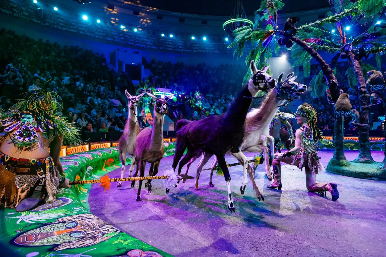 Петербургский международный экономический форум 2025