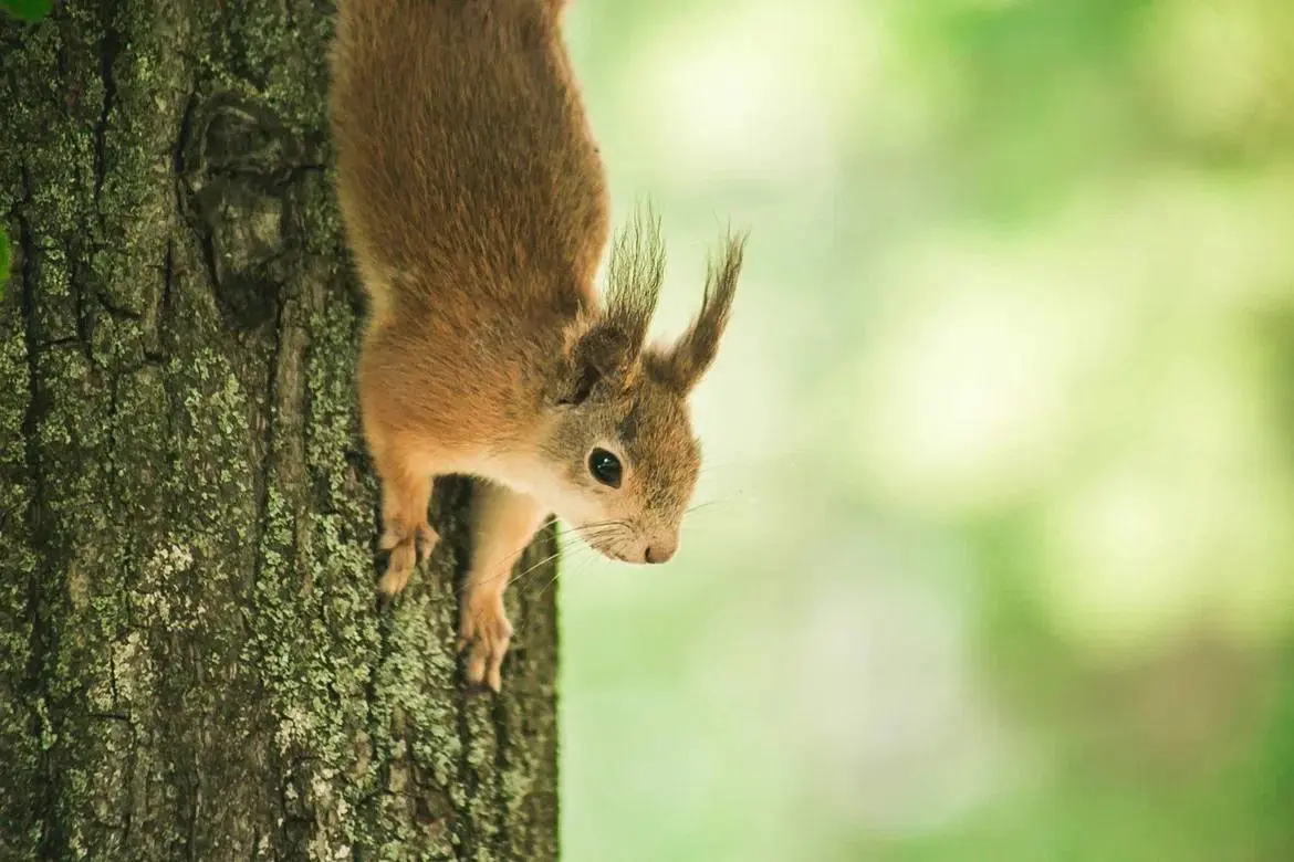 Мероприятие по расписанию в Нижнем Новгороде 18-19 июня 2025