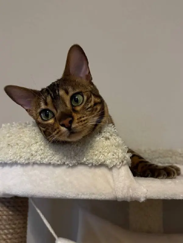 Проведение вечерних мероприятий для серповчан