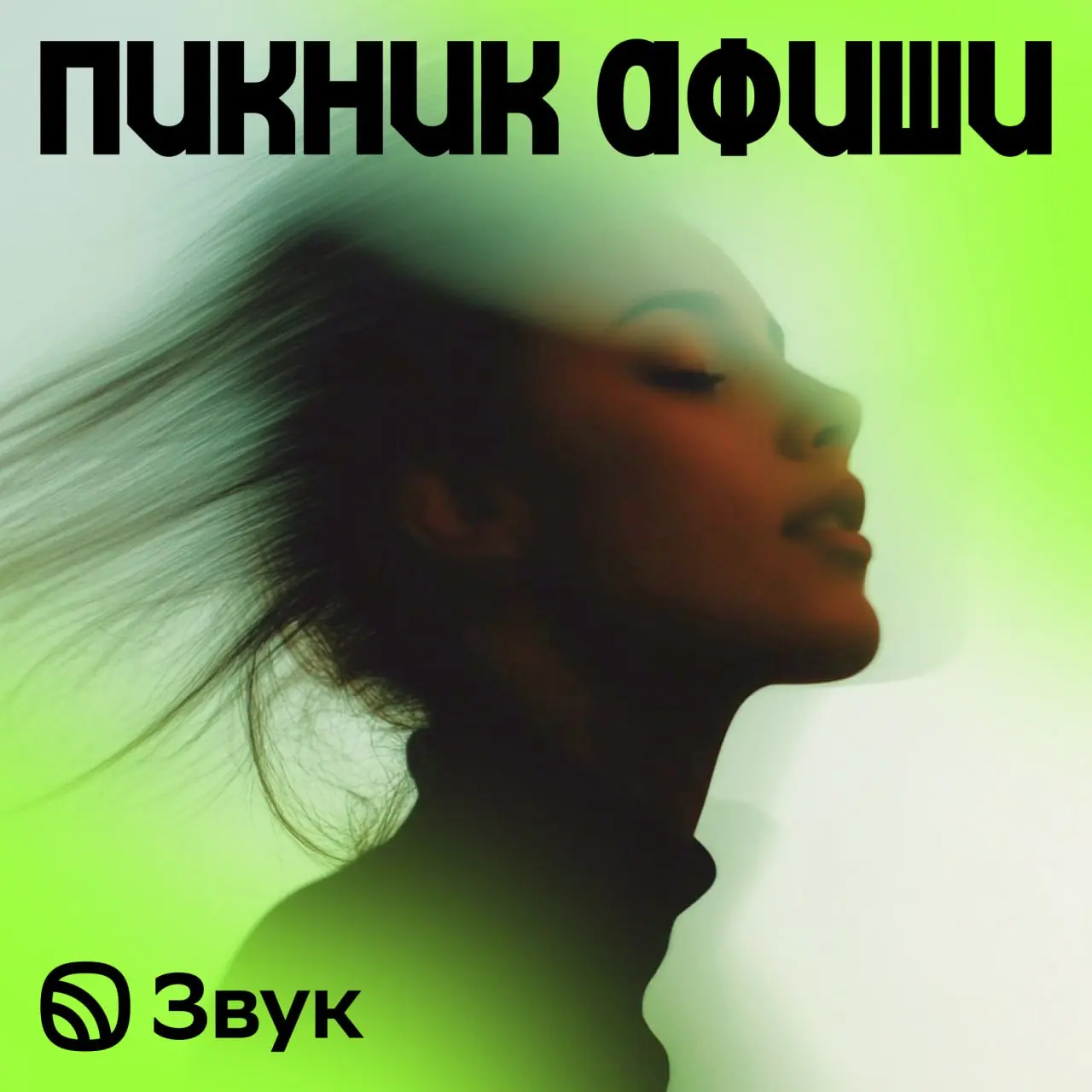 музыкальный сервис Звук в Москве и Петербурге