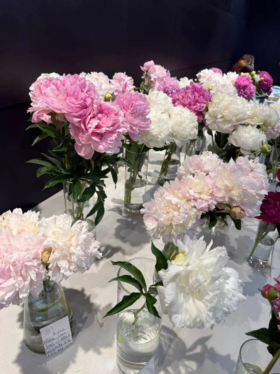 Выставка в Музее природы