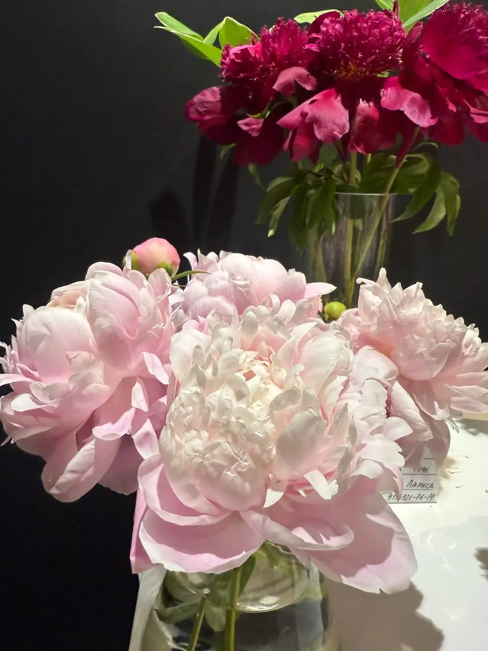 Выставка в Музее природы