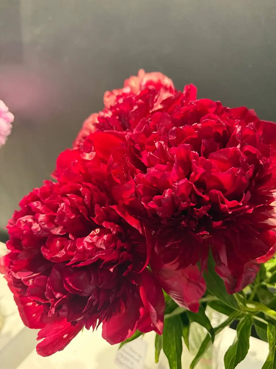 Выставка в Музее природы