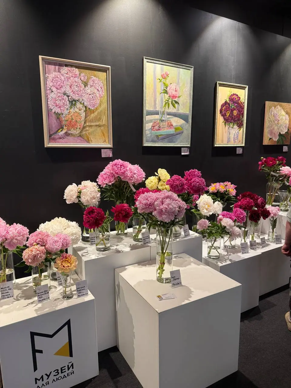 Выставка в Музее природы