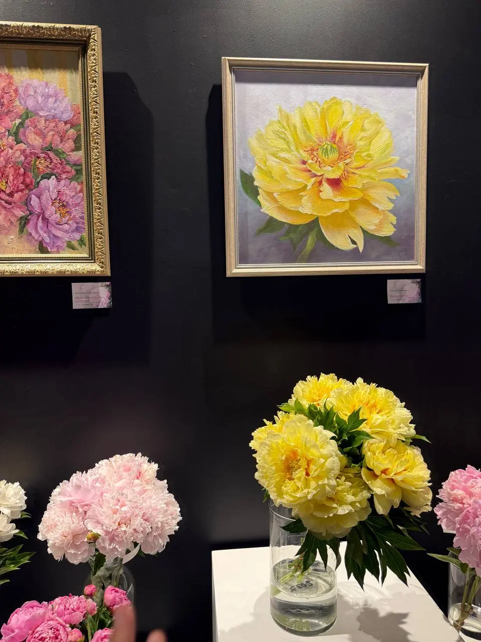 Выставка в Музее природы