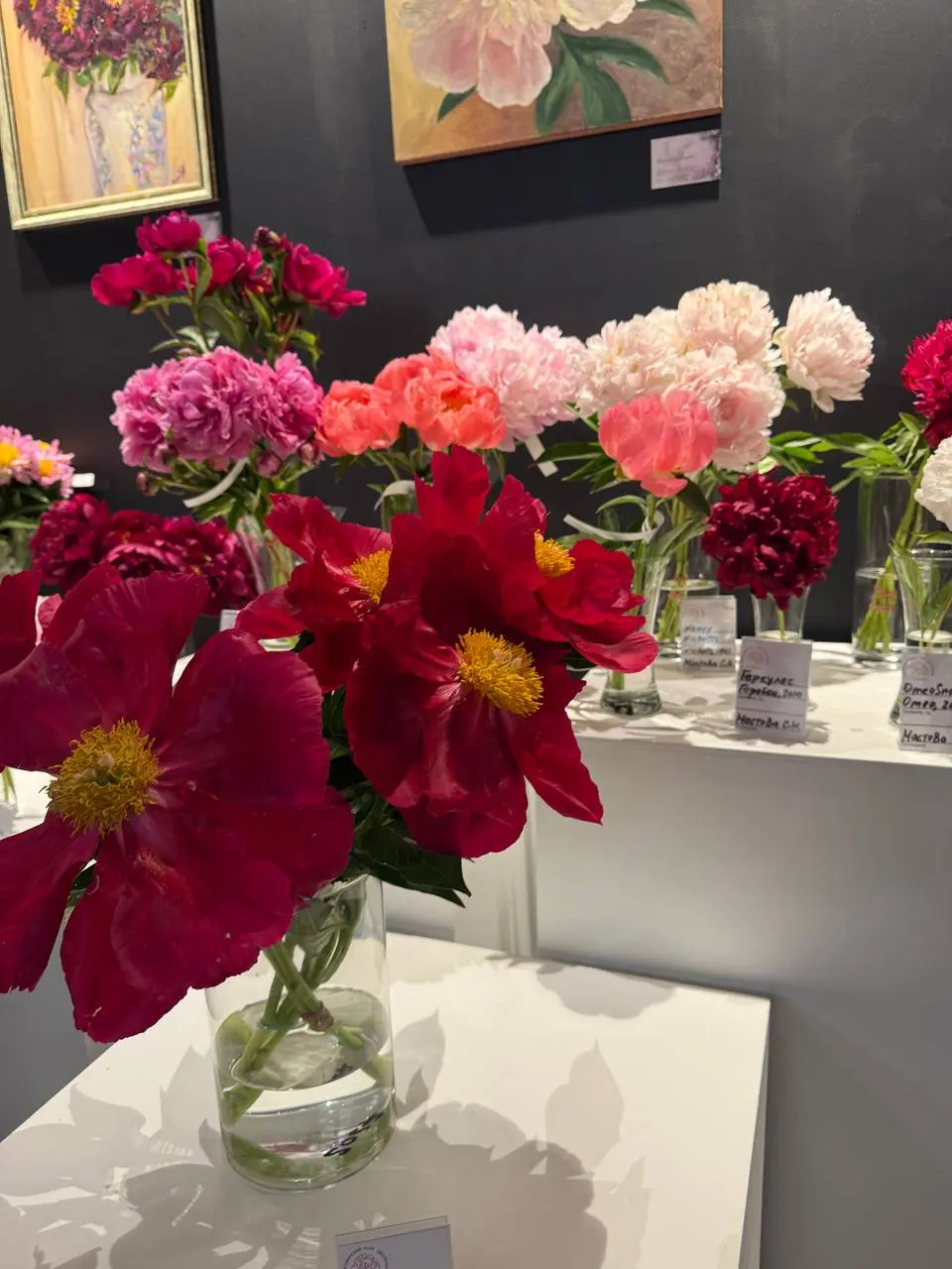 Выставка в Музее природы