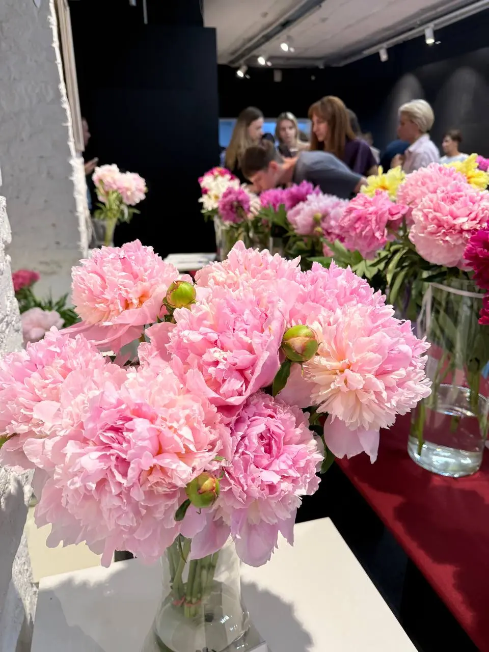 Выставка в Музее природы