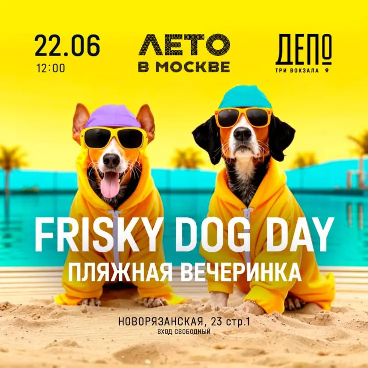 Пляжная вечеринка для хвостиков и их хозяев Frisky Dog Day