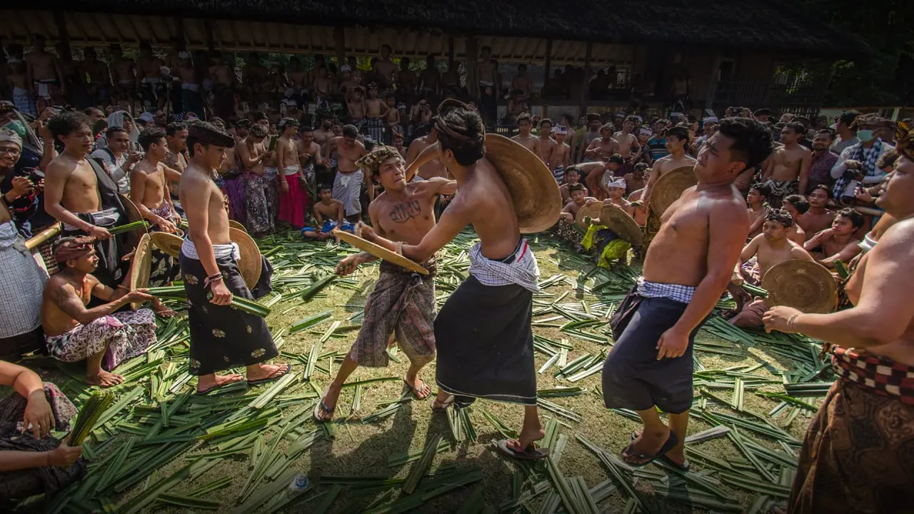 Война на листьях пандана
