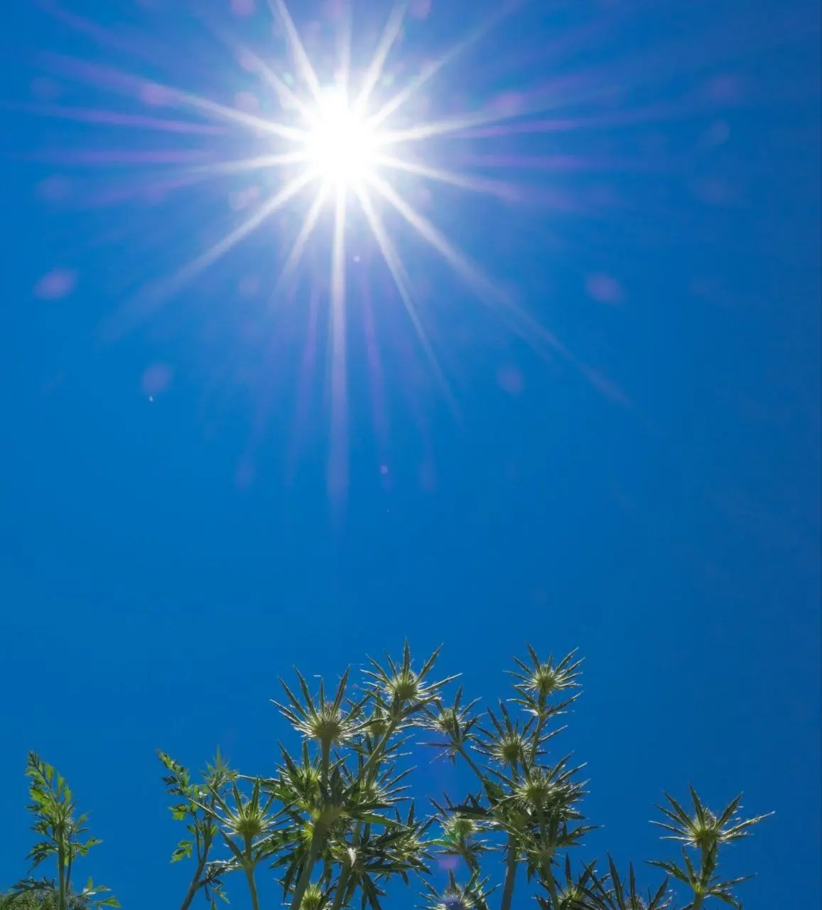 День летнего солнцестояния в Барнауле 2025