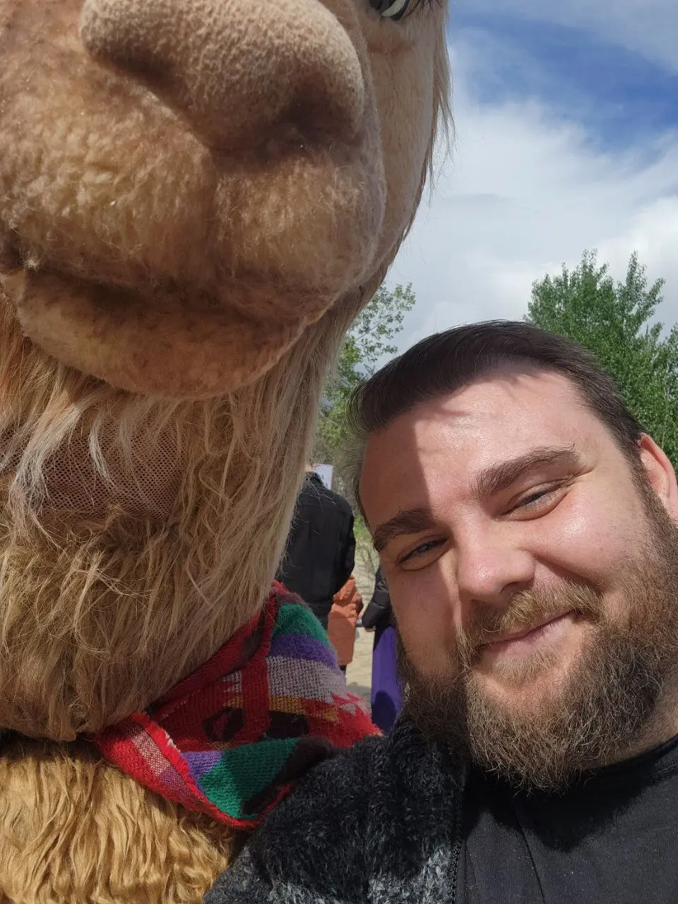 Настольный теннис