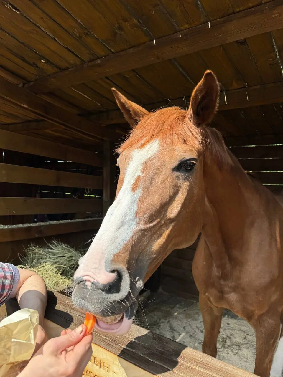 Сабантуй 2025