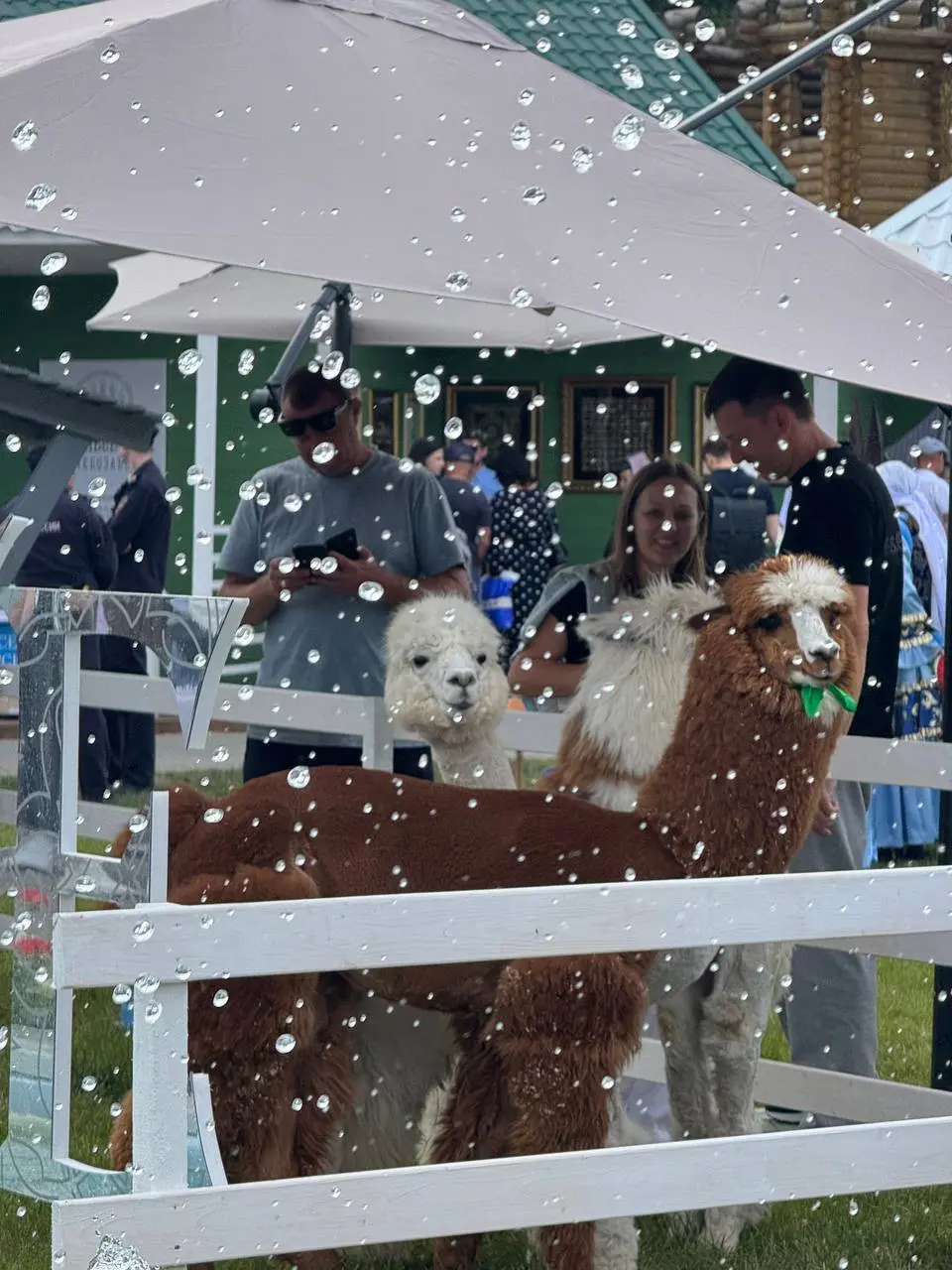 Сабантуй 2025