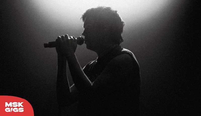 ТИМА ИЩЕТ СВЕТ