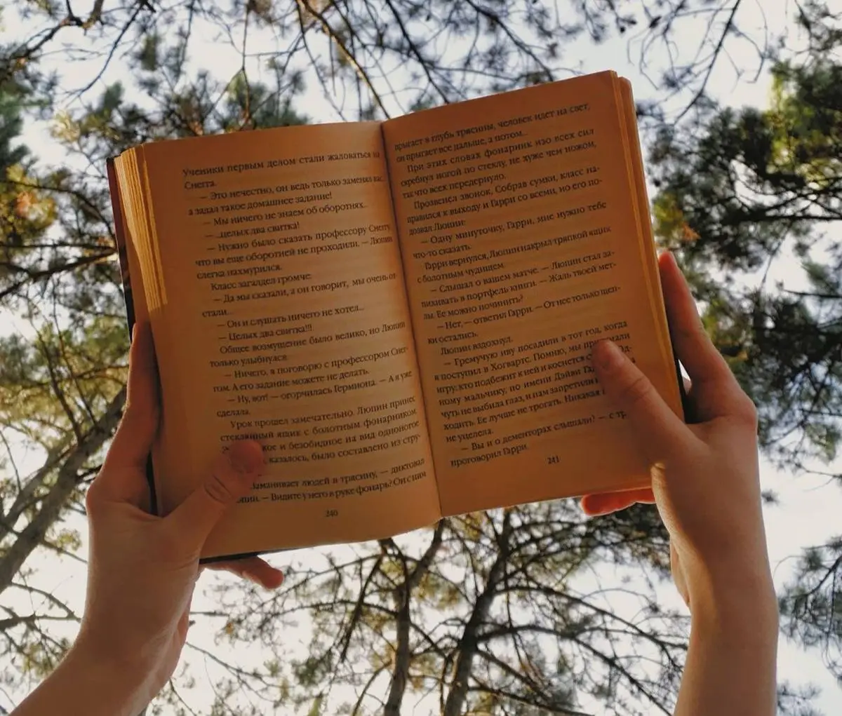 Обмен книг на сибирский кедр в парке Яуза 26 июня