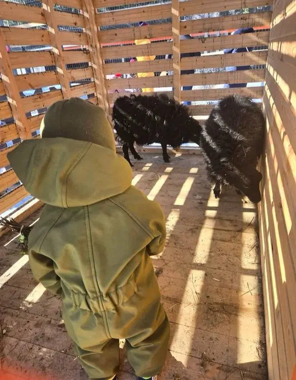 Собираемся на природу к животным