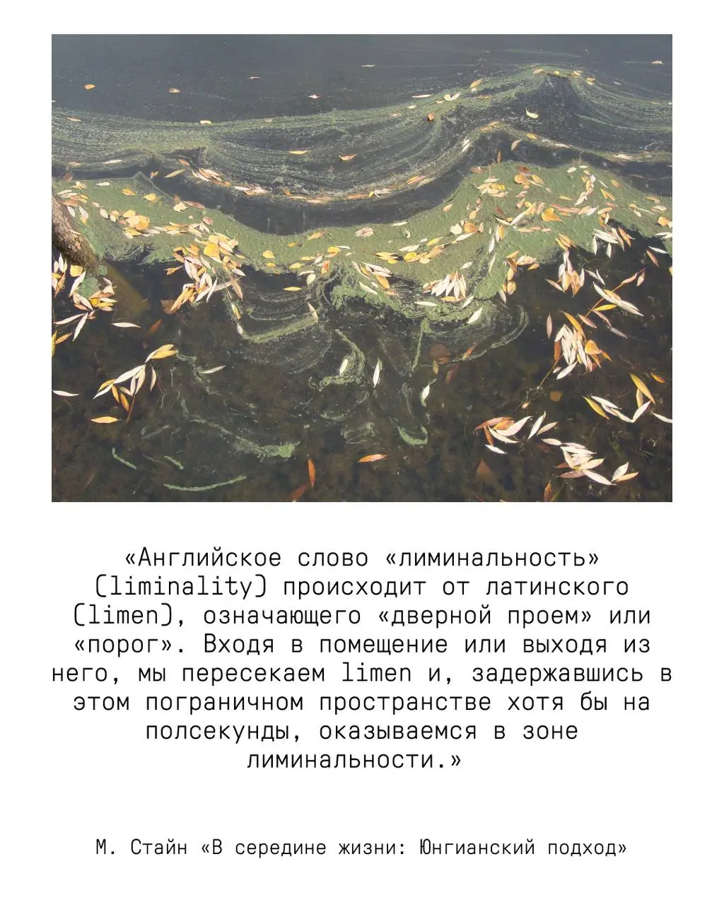 Выставка Вероники Федорцовой: Левитация