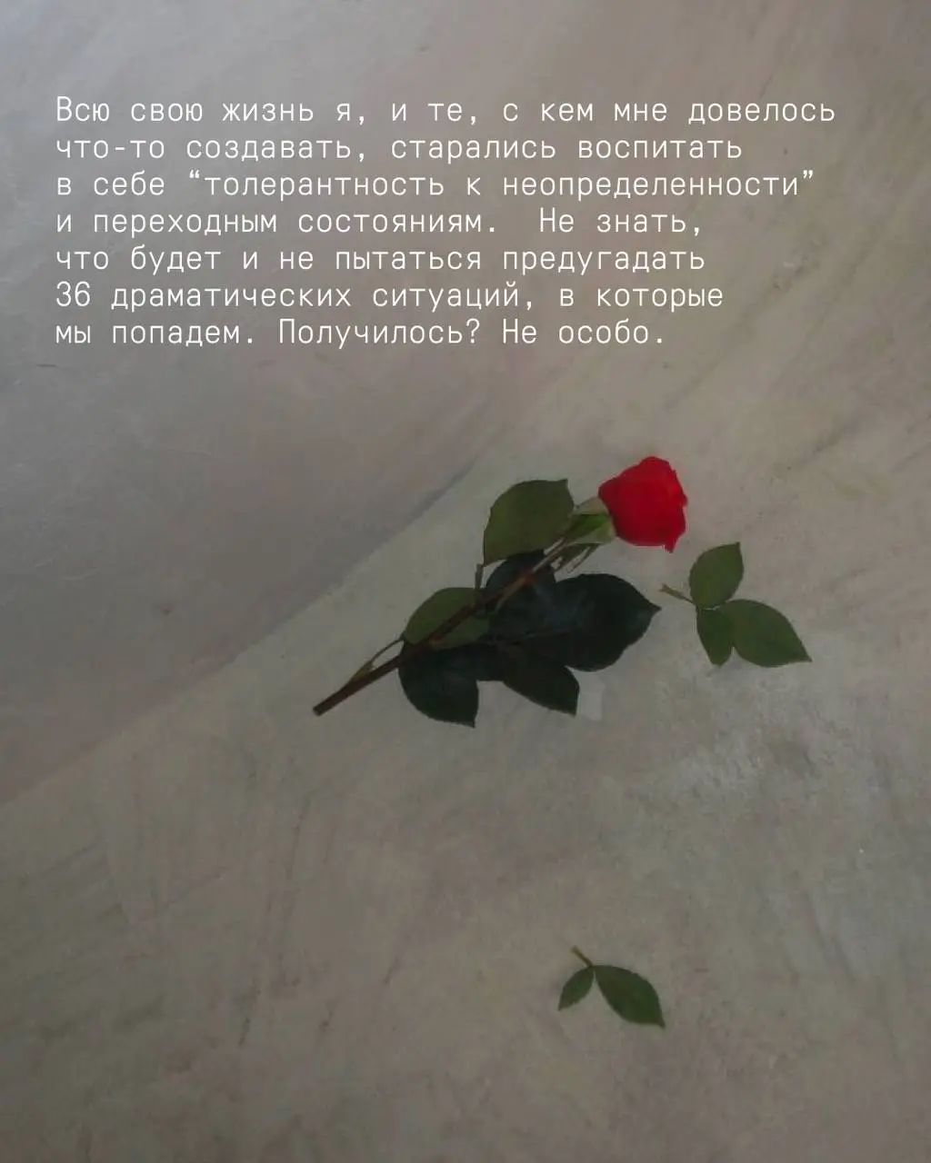 Выставка Вероники Федорцовой: Левитация