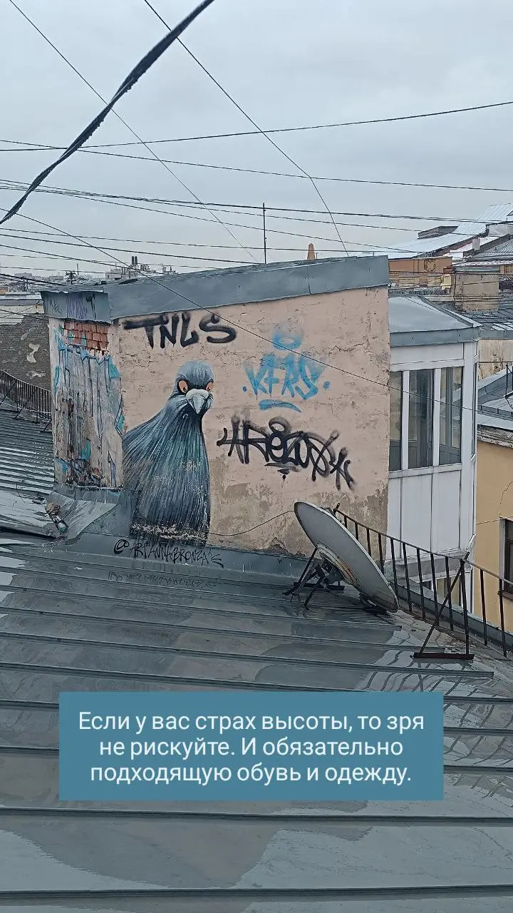 Питерские крыши