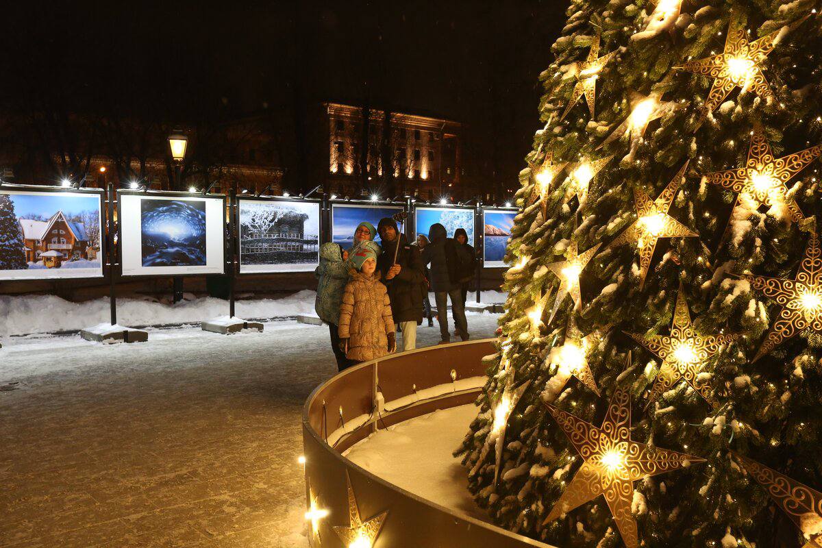 Праздничные огни на елках