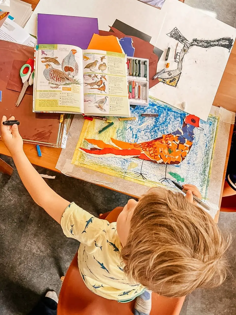 Занятия по изобразительному искусству для разных возрастных групп в неделю