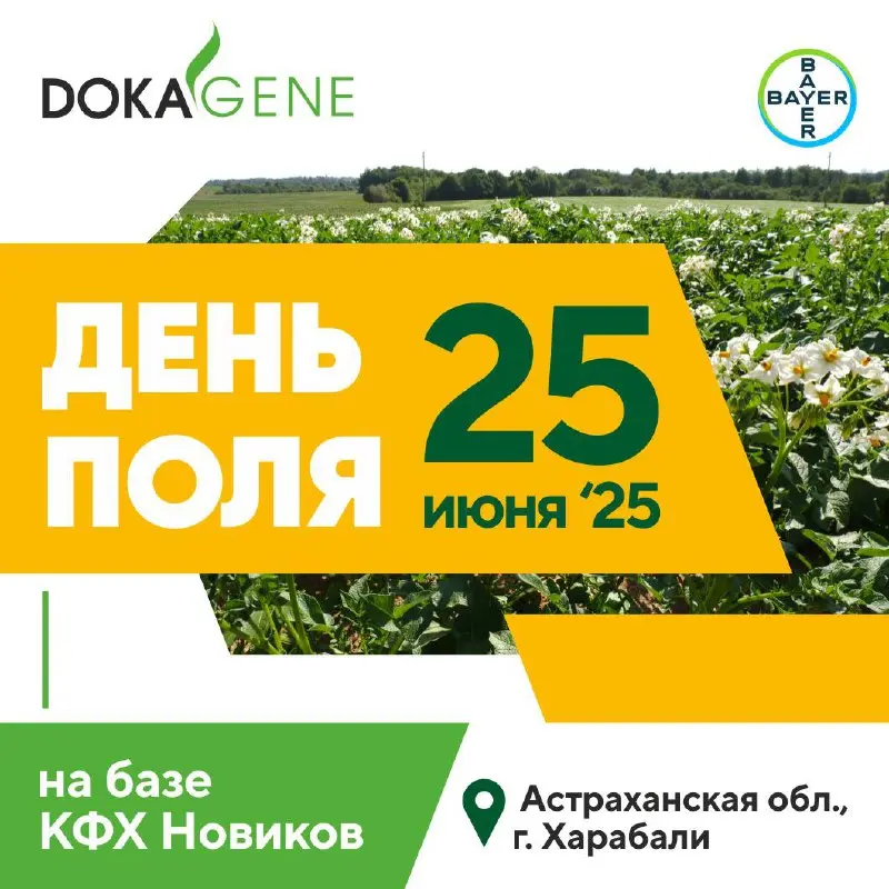дЕНЬ 25 поля июня '25 на базе КФХ Новиков