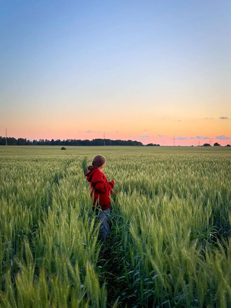 🌞Баня середины лета🌞