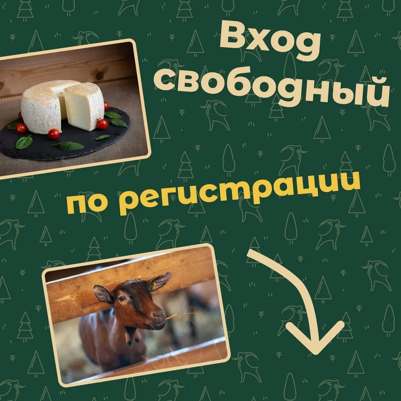 ГАСТРОНОМИЧЕСКИЙ ФЕСТИВАЛЬ «РОДИНА СЫРА»