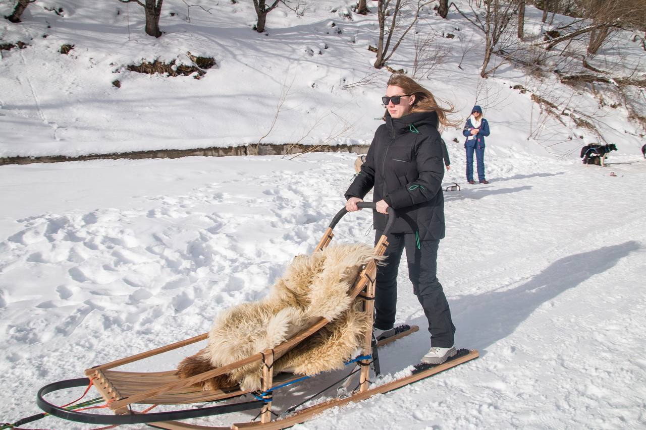 В гости к хаски: открытие сезона