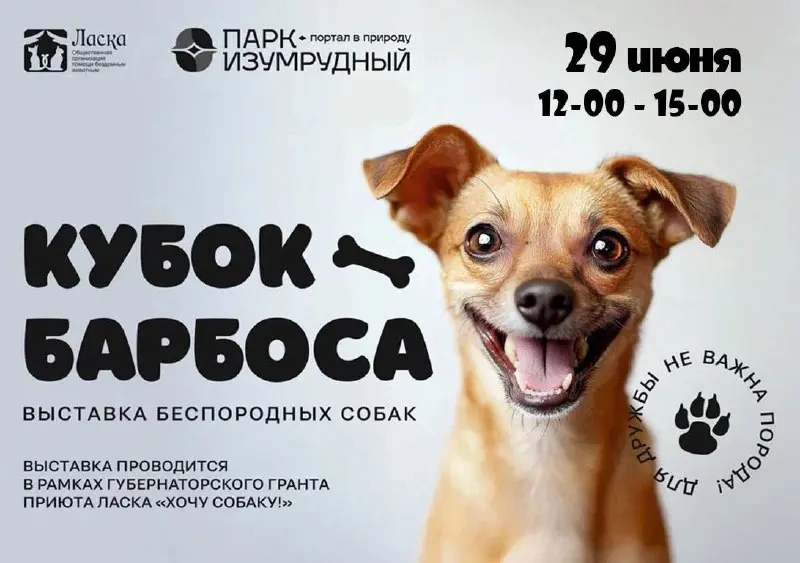 выставка беспородных собак "Кубок Барбоса"