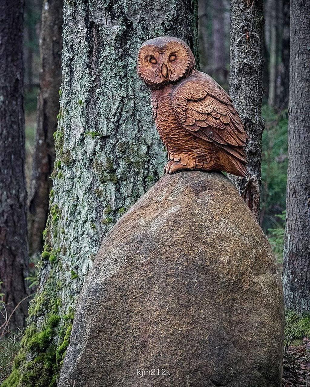 Сказочный экомаршрут Лесная тропа