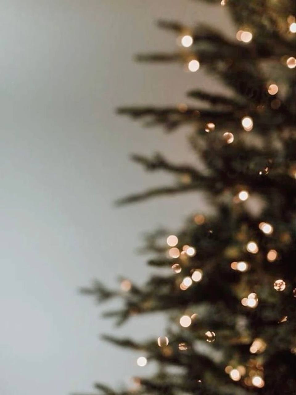 Мастер-класс по клубнике в шоколаде от QUEENBERRY