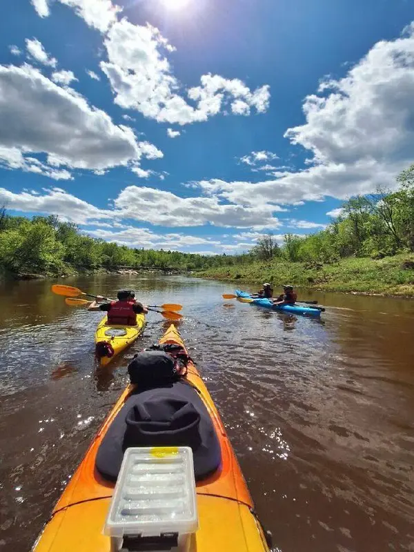 Сплав на каяках по реке Илеть 29 июня