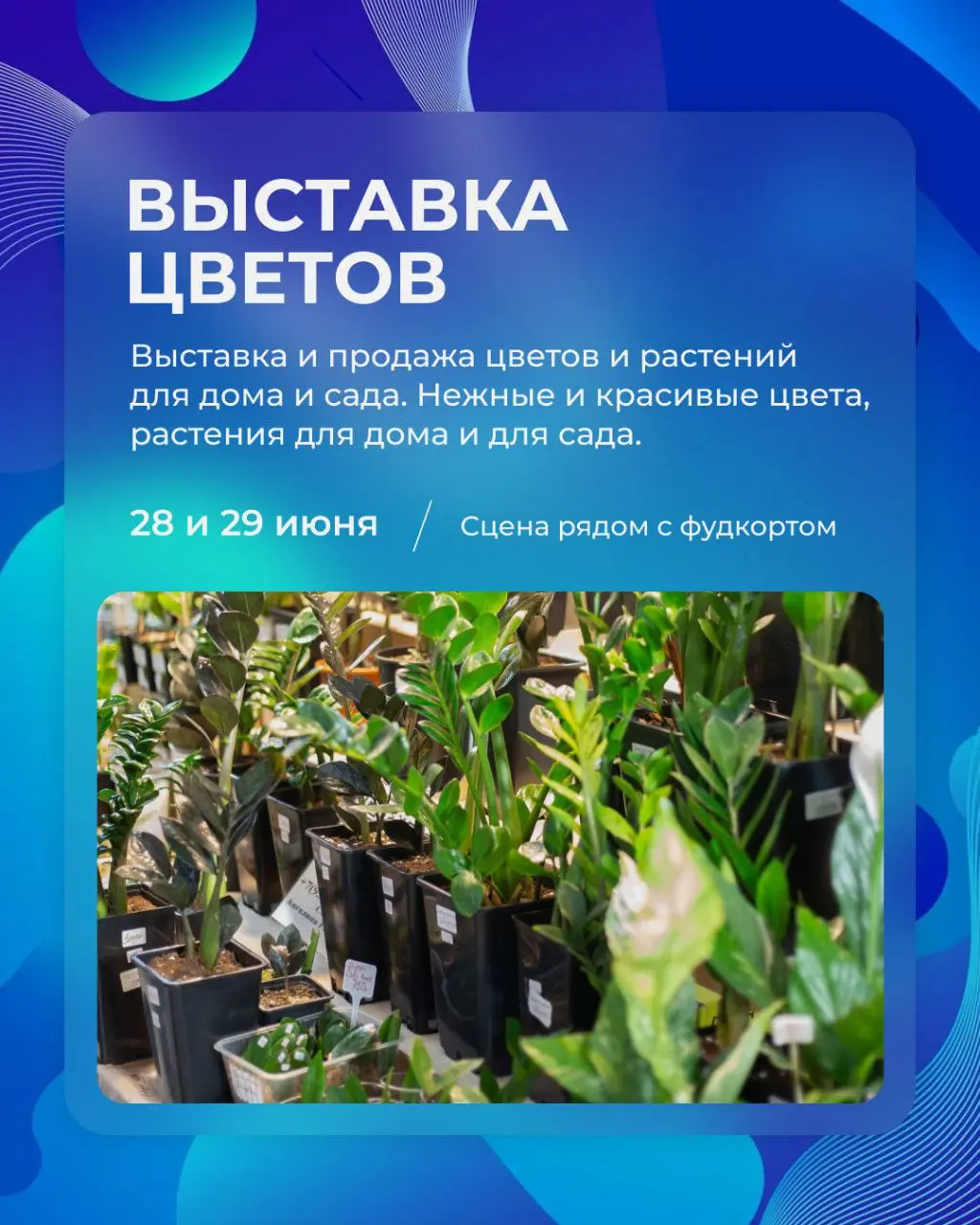 Выходные в ТРК "Галактика" и Детский день