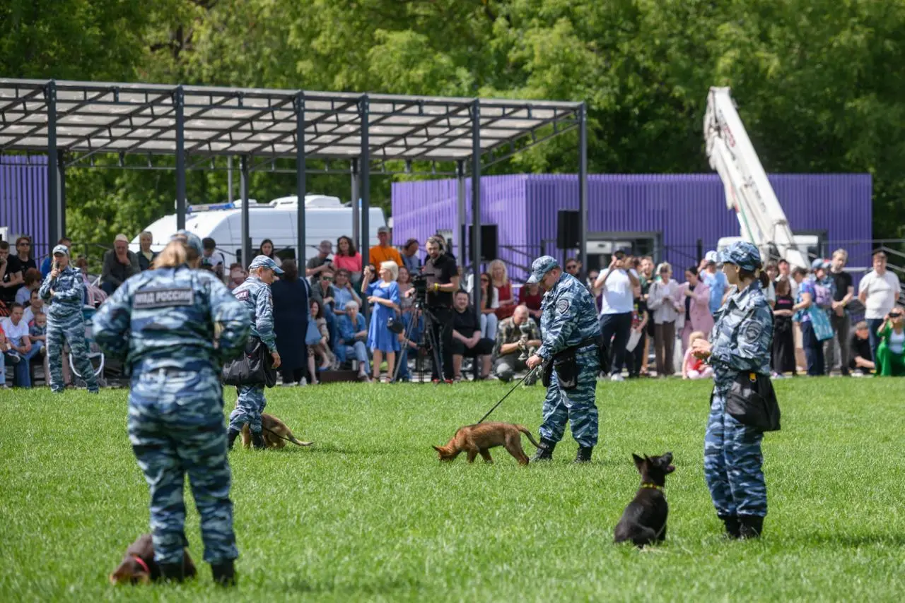 Первый чемпионат на «Кубок столицы» по обидиенс в Москве