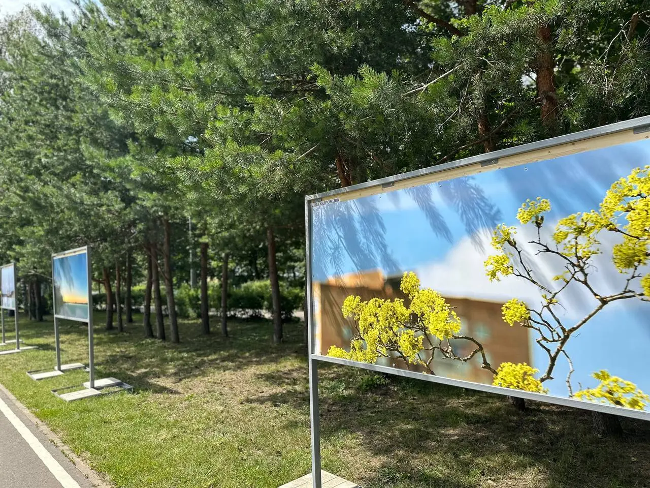 МОЛОДЕЖЬ. СПОРТ. ПАРК