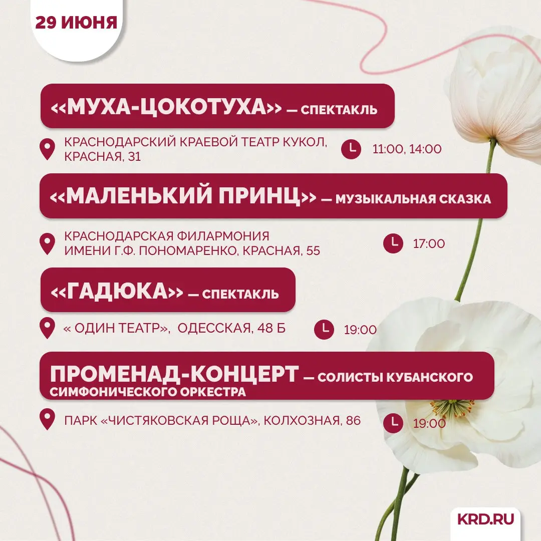 Встречаемся в Краснодаре: как интересно провести выходные 28 — 29 июня