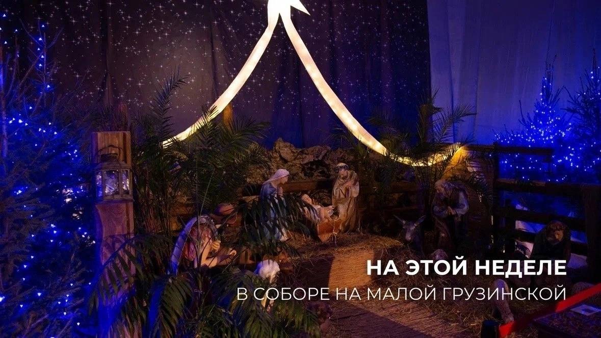 Афиша органных концертов