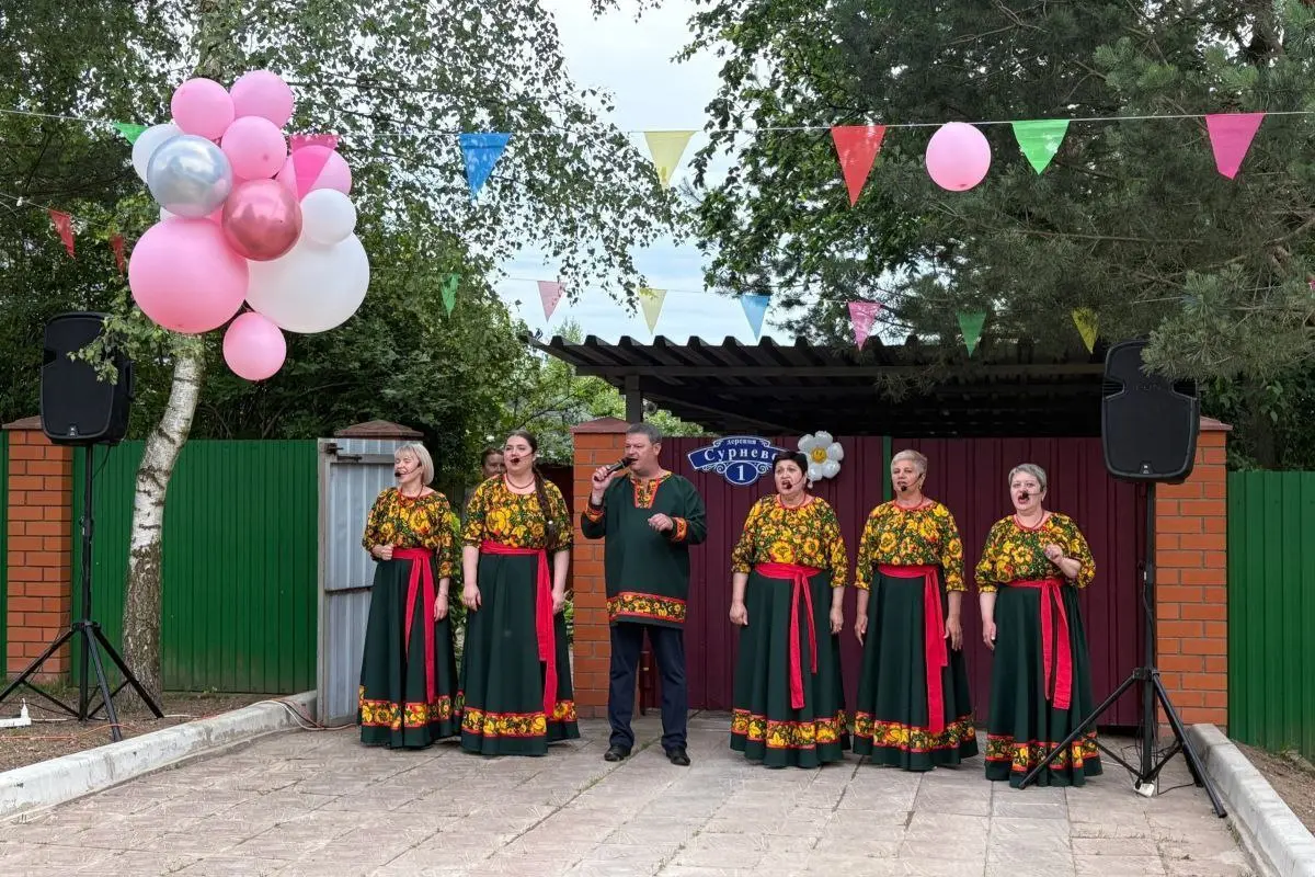 Лето во дворах в деревне Сурнево