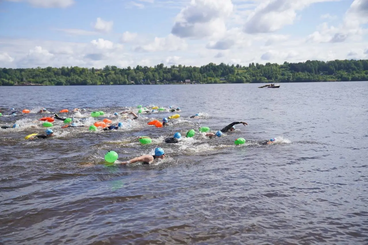 Заплывы Кубка Чемпионов Swimсup Open Water в Кинешме