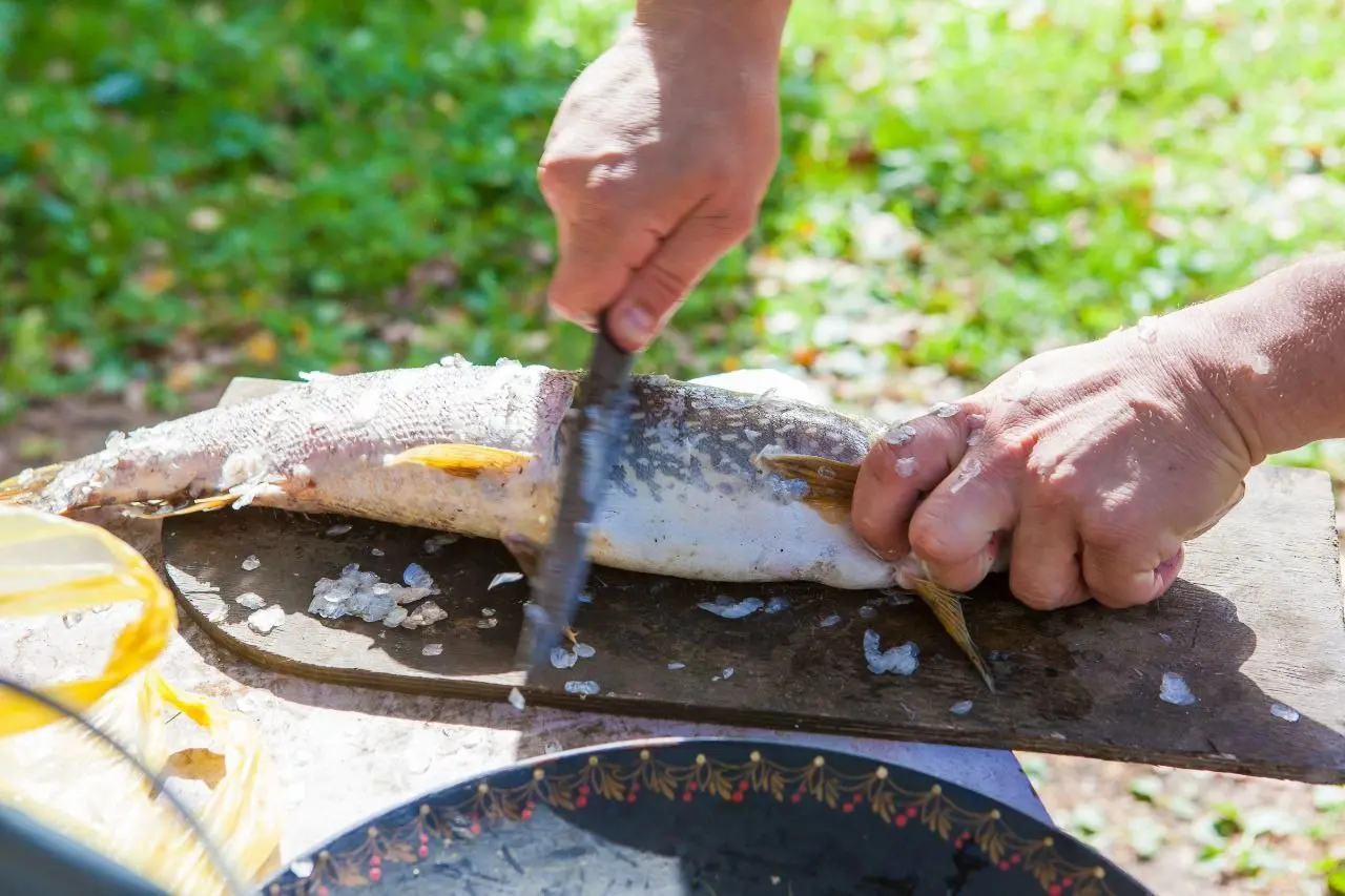ТУР «ЛЕГЕНДЫ СИБИРИ»